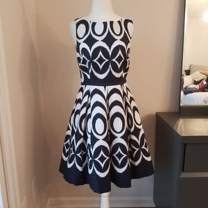 The Limited navy and white sleeveless dress